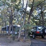 Cars parked in ponderosa pines in a Grand Canyon campground