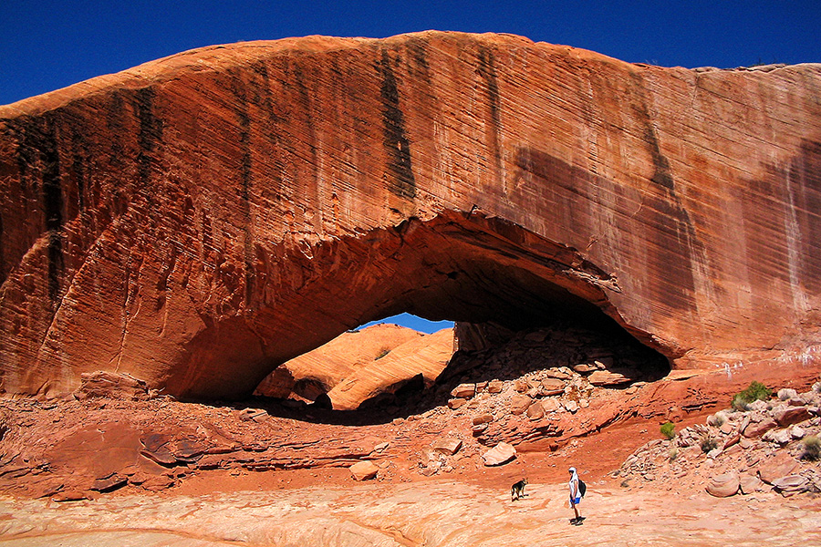Large redrock arch, phipps arch, with bright blue sky in the background, man and his dog walking toward the arch as if to go under it